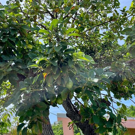 Les Villas Du Bambou - Villa Paprika Jusqu'A 6 Pers ル・ゴジエ エクステリア 写真